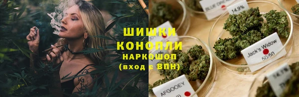 spice Бородино