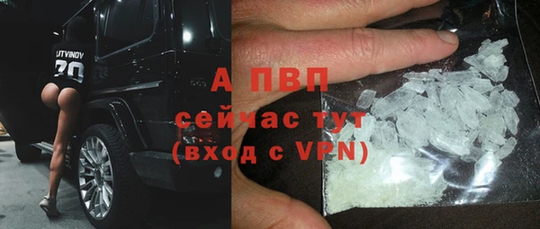 дмт Верея