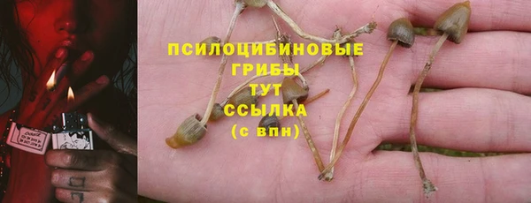 Альфа ПВП Бугульма