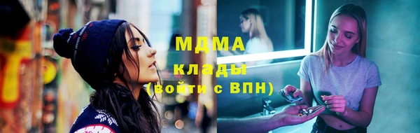 spice Бородино