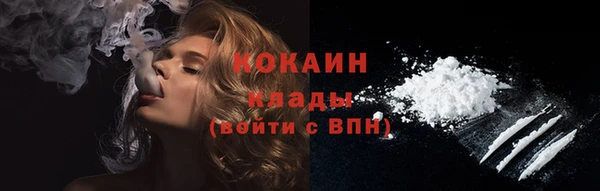 spice Бородино