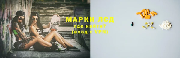 spice Бородино