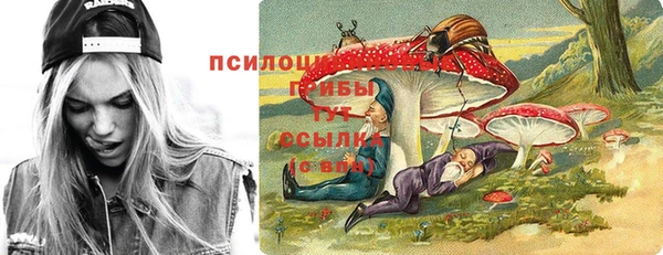 Альфа ПВП Бугульма