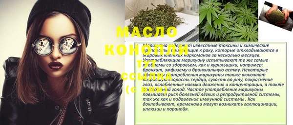 spice Бородино