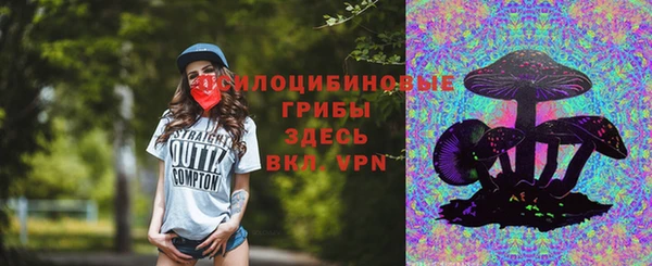 spice Бородино
