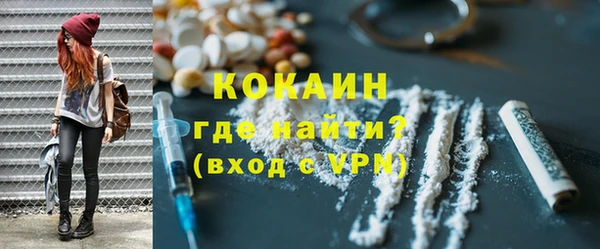 дживик Верхний Тагил