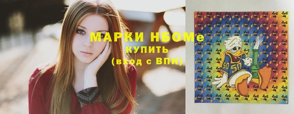 spice Бородино