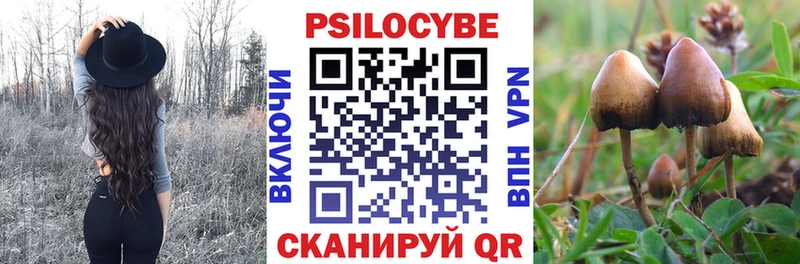 hydra рабочий сайт  Улан-Удэ  Псилоцибиновые грибы Psilocybine cubensis 